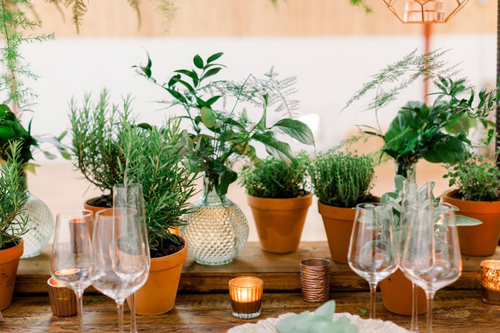 Potted plants as wedding favours