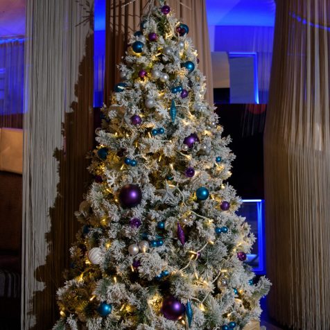 Qube Events Christmas Trees