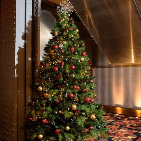 Qube Events Christmas Trees