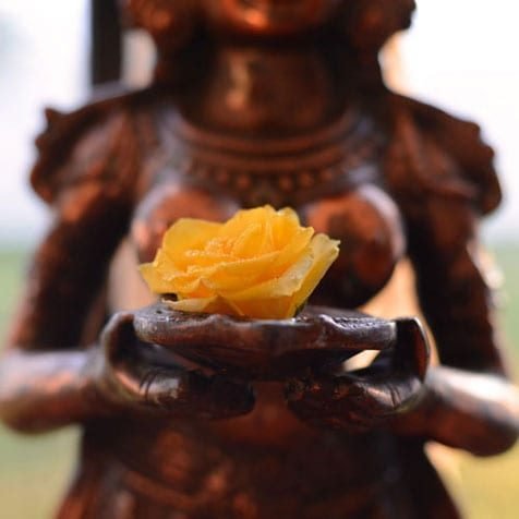 Asian Wedding floristry3